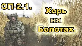 Заключенный Хорь на Болотах. ОП-2.1.