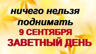 9 сентября. ДЕНЬ АНФИСЫ. Святое правило. Приметы. Запреты