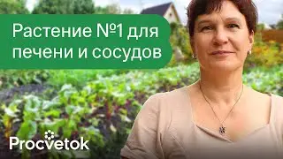 90% ЛЮДЕЙ ВЫБРАСЫВАЕТ ЭТО СРЕДСТВО ДЛЯ ПОХУДЕНИЯ, СНИЖЕНИЯ ДАВЛЕНИЯ И ЗДОРОВЬЯ ПЕЧЕНИ!