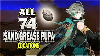 All 74 Sand Grease Pupa Locations - Efficient Farming Route | Genshin impact | Alhaitham Ascension