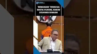 KABULKAN EKSEPSI TERDUGA MAFIA HUKUM, HAKIM Disanksi Ringan Surat Tidak Puas dari KY