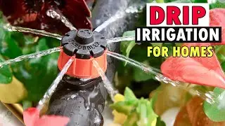 TIPS & TRICKS: DRIP IRRIGATION SYSTEM INSTALLATION FOR HOME GARDEN