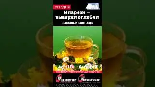 Сегодня, 10 апреля, в этот день отмечают праздник, Иларион — выверни оглобли