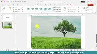 How to apply soft edge rectangle picture style in PowerPoint