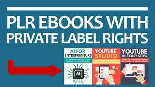 PLR eBooks With Private Label Rights