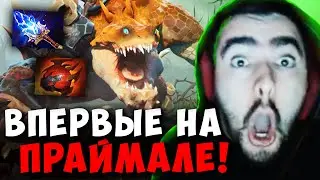 STRAY ВПЕРВЫЕ НА ПРАЙМАЛ БИСТЕ 7.34 ! СТРЕЙ МИДОВЫЙ PRIMAL BEAST carry mid dota 2 ! Лучшее со Стреем