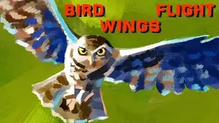 Flying BIRD Wings - animation tutorial