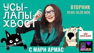 Усы-Лапы-Хвост. Мифы о питании. Вредные продукты для кошек и собак.  (8.02.22)