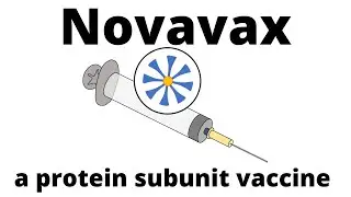 How Novavax -the new protein subunit vaccine- is produced and how it works