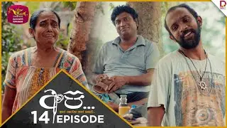 API | අපි - අපේ නොවන අපේ කතාව | Episode 14- (2024-06-29) | Rupavahini TeleDrama