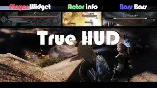 SKYRIM MOD I True HUD I HUD Additions