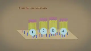 Introduction to Next Generation Sequencing