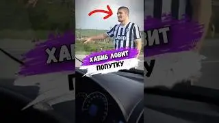 Зачем ХАБИБ ЛОВИТ ПОПУТКУ? #shorts