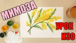 КАК НАРИСОВАТЬ МИМОЗУ 🌿Урок рисования 🎨