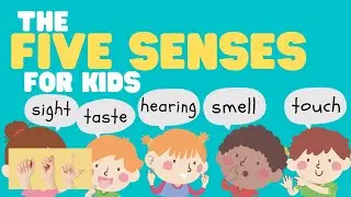 ASL The Five Senses for Kids