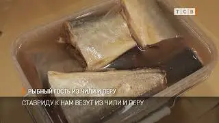 Рыбный гость из Чили и Перу