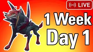 1 Week of Naafiri (Day 1)