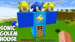 What's inside HUGE SONIC GOLEM in Minecraft ? Biggest Sonic Golem House