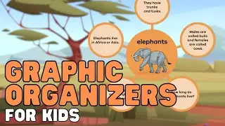 Graphic Organizers For Kids | Learn some ways to organize information