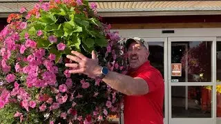 Disneyland for Gardeners??? Bauman's Display Gardens are ✨MAGICAL!✨