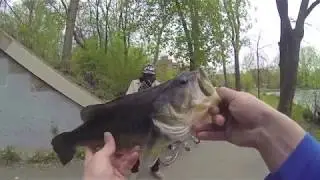 Fishing the Minneapolis Metro