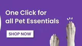 Pet Essentials I Pet Products I Pet Food I Accessories I Toys I One Stop Pet Solution I Dear Pet