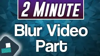 Filmora X : How to Blur Part of Video