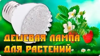 Светодиодная дешевая лампа для растений. (Фитолампа  из Китая)