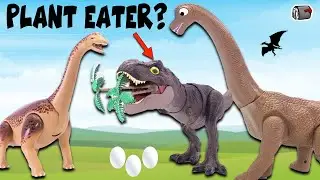 🦖 Tyrannosaurus Rex vs 🦕 Long Neck Dinosaurs 🌴 IS T-REX A PLANT EATER?