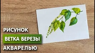 Как нарисовать ветку берёзы карандашом и акварелью начинающим | Рисунок для детей