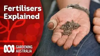 Choose the Right Fertiliser | Gardening 101 | Gardening Australia