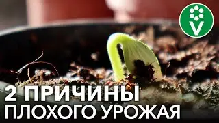 2 НЕОЧЕВИДНЫЕ ПРОБЛЕМЫ ПОЧВЫ, которые значительно снижают урожай и плодородие почвы