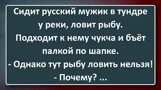 Как Русский в Тундре Рыбку Ловил! Сборник Изумрудных Анекдотов №149