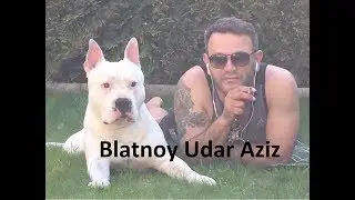 (✵18)Blatnoy  Udar ✵ Pod Kaifam ✵2018 Live