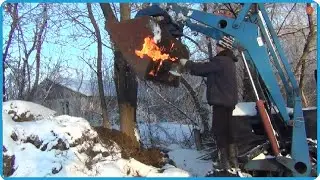 В ДЕРЕВНЕ НЕ СКУЧНО - КАЖДЫЙ ДЕНЬ ЧТО ТО НОВОЕ! ВЗВЕШИВАЕМ ВЕСЕЛЫХ ТЕЛЯТ