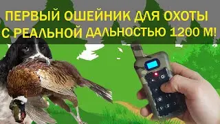 Ошейник для охоты с реальной дальностью 1200 м!