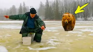 Рыбак не заметил, как к нему подошел медведь. Дальше случилось Невероятное!