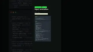 input Animation 