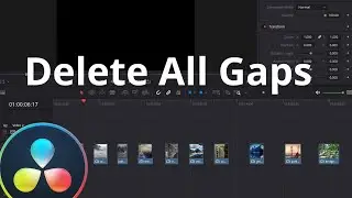 Delete All Gaps in Davinci Resolve