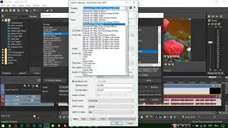 Sony Vegas Pro 15 Render Ayarları