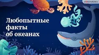 Видеоурок по географии «Любопытные факты об океанах»