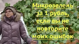 микрозелень за 1 рубль и пять дней | лучший способ выращивания дома