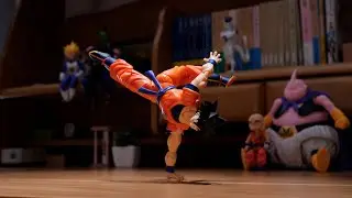 Dragonball - Goku Practices Martial Arts | Stop Motion