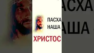 Пасха наша Христос !