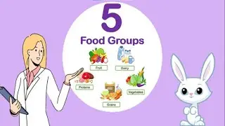 Discover the Five Food Groups: A Fun Guide for Kids! | The Five Food Groups