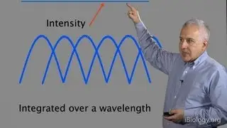 Microscopy: Diffraction (Jeff Lichtman)