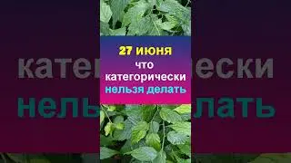 27 июня народный праздник день Елисея Гречкосея. Что нельзя делать. Народные приметы традиции обычаи