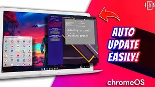 How To Update Chrome OS with Brunch and Install Latest Version for Single and Dual Boot !