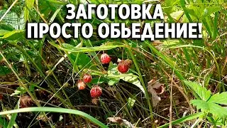 КЛУБНИКА СО СЛИВКАМИ ЗАГОТОВКА НА ЗИМУ ЯГОД С ПОЛЬЗОЙ @obovsemsmarusya