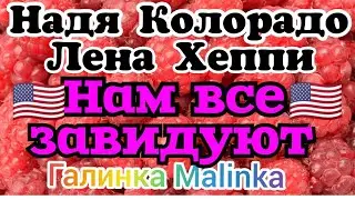 Надя Колорадо /Лена Хеппи /Нам завидуют все //Обзор Влогов //